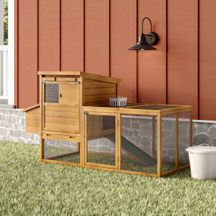 ARCHIE & OSCAR™ Auggie 21.4 Square Feet Walk In Chicken Coop with Chicken Run For Up To 5 Chickens