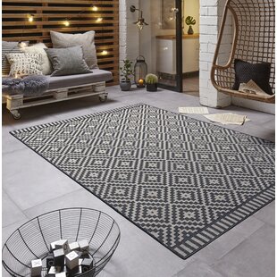 FREUNDIN HOME COLLECTION Breeze Flatweave Black/White Rug