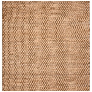 DOVECOVE Jameson Handwoven Natural Area Rug