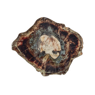 KIM SEYBERT Fossil Placemat (Set of 4)