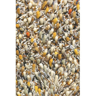 BRINK & CAMPMAN Spring Shag Wool Orange Rug