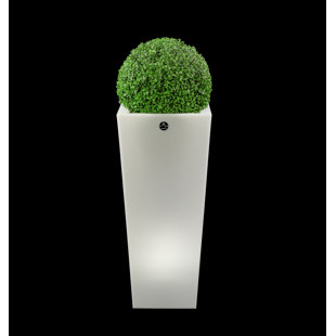 ORREN ELLIS Aix Squara - Artkalia McAlester Pot Planter