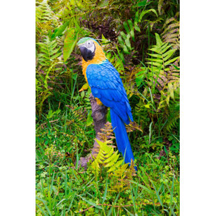 HI-LINE GIFT LTD. Parrot On Branch Statue