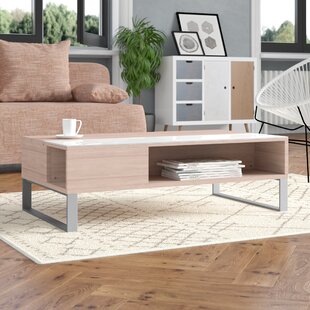 LATITUDE RUN Ayala Lift Top Sled Coffee Table with Storage