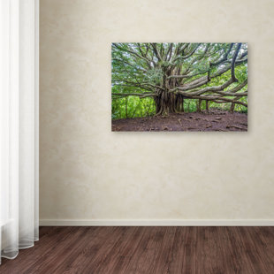 TRADEMARK FINE ART On Canvas Print