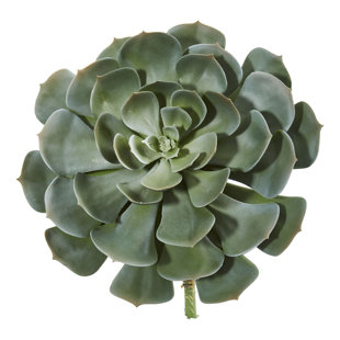 PRIMRUE Giant Echeveria Pick Artificial Succulent Plant (Set of 2)