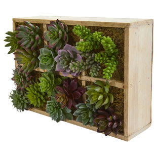 PRIMRUE 12'' Faux Flowering in Wood Tray