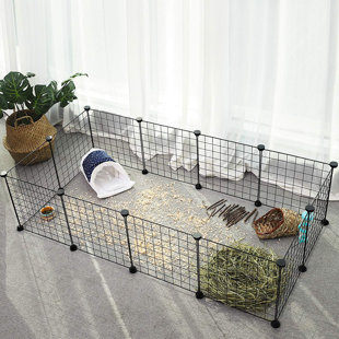 ARCHIE & OSCAR Kleintier-Freigehege Briana