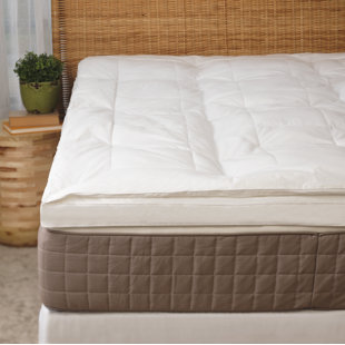 WHITE NOISE Chappell Cotton 2" Down Alternative Mattress Topper