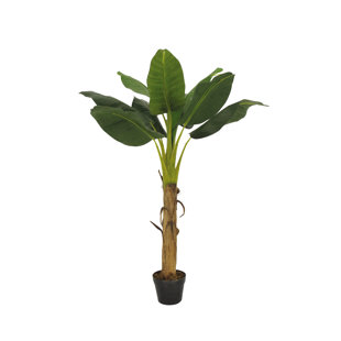 17 STORIES 128mm Banana Leaf Tree in Planter
