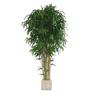 17 STORIES 150cm Bamboo Tree in Planter