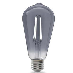 FEITELECTRIC 25 Watt Equivalent, ST19 LED, Dimmable Light Bulb, Daylight (5000K) E26/Medium (Standard) Base (Set of 12)