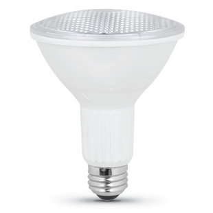 FEITELECTRIC 75 Watt Equivalent, PAR30L LED, Dimmable Light Bulb, Warm White (2700K) E26/Medium (Standard) Base (Set of 12)