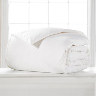 ELLA JAYNE HOME All Season Down Blend Down Comforter