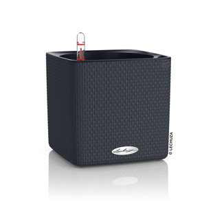 LECHUZA Cube Pot Planter