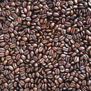IMAGINE TILE, INC. Coffee Beans 3" x 6" Ceramic Subway Tile in Brown
