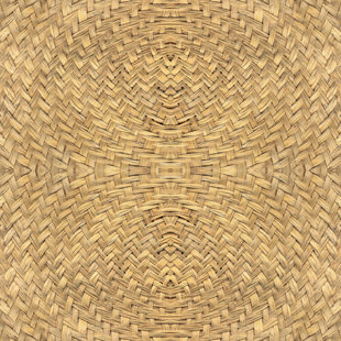 IMAGINE TILE, INC. Polynesian 16" x 16" Ceramic Field Tile in Natural/Tan