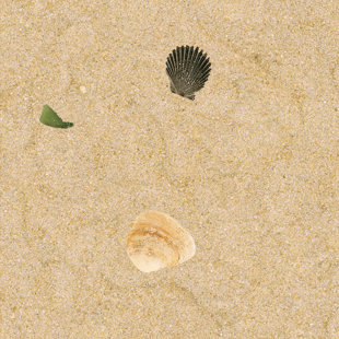 IMAGINE TILE, INC. Beach Series 12" x 12" Ceramic Patterned Wall & Floor Tile