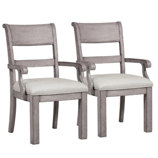 GREYLEIGH™ Devers Upholstered Armchair (Set of 2)
