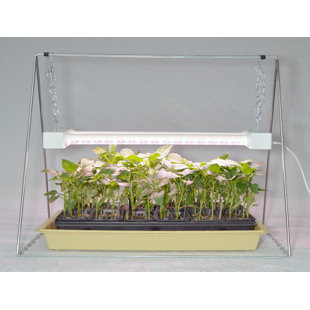 GROWERS SUPPLY COMPANY Seed Starter with LED Light Fixture