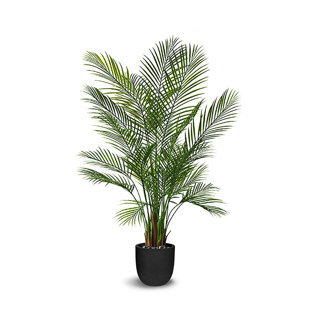 BAYOU BREEZE Faux Botanical Areca Palm in Green Finish 59" Height