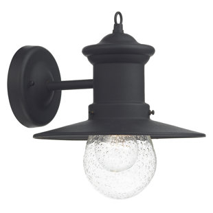 BREAKWATER BAY Desota Seeded Glass Outdoor Barn Light