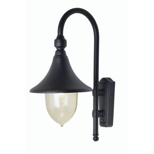 DAKOTA FIELDS Celestin Painted 35cm H Outdoor Barn Light