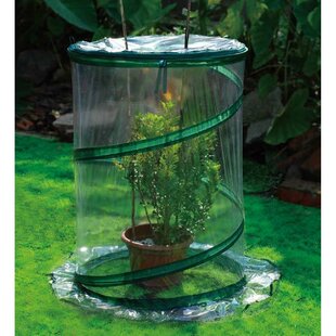 ZENPORT 21" W x 21" D Mini Greenhouse