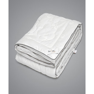 ALWYN HOME Tabb All Season Cotton Down Alternative Comforter