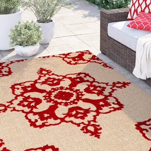 SOL 72 OUTDOOR™ Laub Floral Sand/Red Area Rug