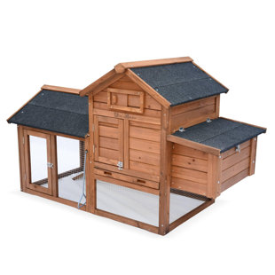 ARCHIE & OSCAR Berta Chicken Coop with Chicken Run