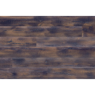 APC CORK Vita Classic Cork 3.25'' W