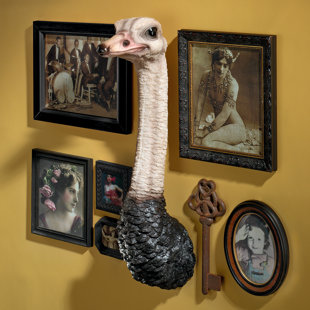 DESIGN TOSCANO Ostrich Bird Trophy Wall Sculpture