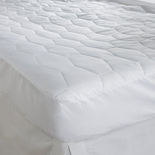 WAYFAIR SLEEP Fitted Mattress Protector Case Pack