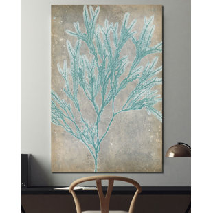 HIGHLAND DUNES " Spa Seaweed I "