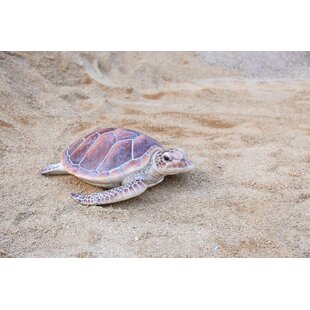 HI-LINE GIFT LTD. LARGE SEA TURTLE