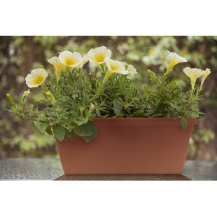 SOUTHERN PATIO® 24" Sonoma Railing Planter