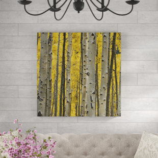 CHELSEA ART STUDIO Aspen Trees III by Jamie Cook - Graphic Art Print