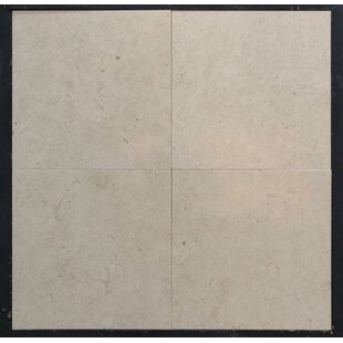 STONE & TILE SHOPPE, INC. Gascoigne 16" x 16" Limestone Stone Look Wall & Floor Tile