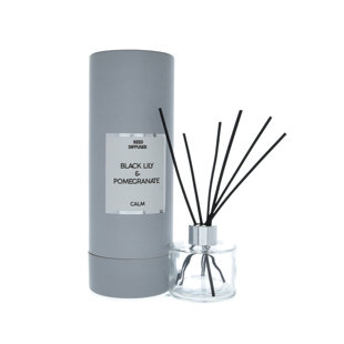 THE PARTY AISLE Lily Reed Diffusers