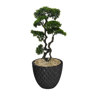 LAURA ASHLEY Panama 37" Artificial Bonsai Tree in Planter