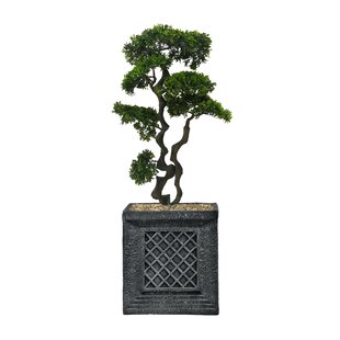 LAURA ASHLEY Panama 37" Artificial Bonsai Tree in Planter