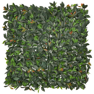 E-JOY Alcott Hill 9'' Hedge