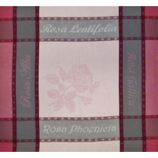 LA MAISONNETTE Rosa 20" Cotton Napkin (Set of 6)