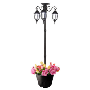 CHARLTON HOME® Amadi Lamp Post (Full)