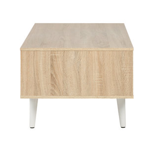 ISABELLINE Kira Coffee Table with Storage