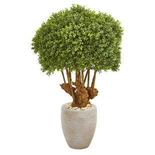 WORLD MENAGERIE Artificial Boxwood Topiary in Pot
