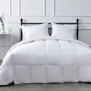 ALWYN HOME All Season Down & Feather Blend Comforter