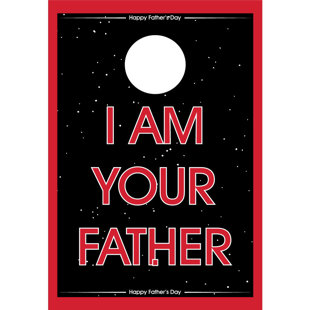 VictoryStore.com Solid Wood Foldable and Cornhole Board with Carrying Case