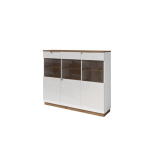 BRAYDEN STUDIO Burritt Display Cabinet with Lighting